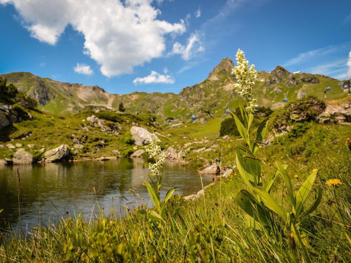Holiday Home Steindlwald By Interhome Untertauern Εξωτερικό φωτογραφία
